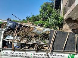 Best Commercial Junk Removal  in Tiptonville, TN