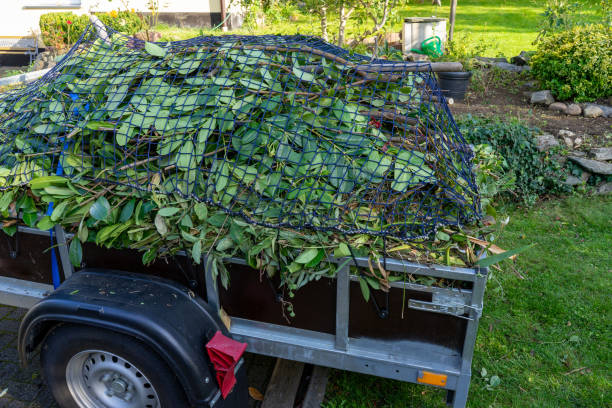 Best Scrap Metal Removal  in Tiptonville, TN